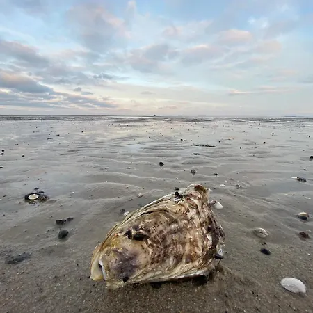 아파트 Min Ailoen Min Ailoen 3 *